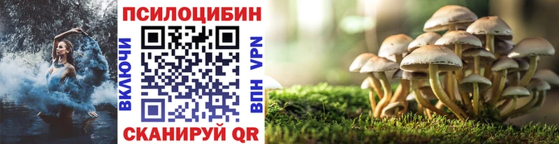 Псилоцибиновые грибы GOLDEN TEACHER  kraken вход  Нижняя Салда 